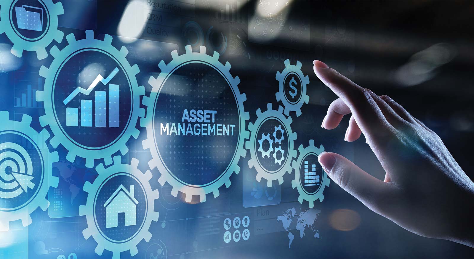 Quick guide to asset management – Turdi Designs